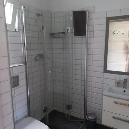 بيت خشبي Biale *