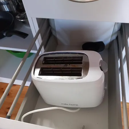 Biale بيت خشبي